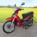 YAMAHA SIRIUS C8-C