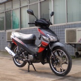 Asian dragon D 110cc