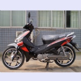 Asian dragon D 110cc